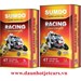 LON SUMDO RACING 1OW40 SN/ 0,8L